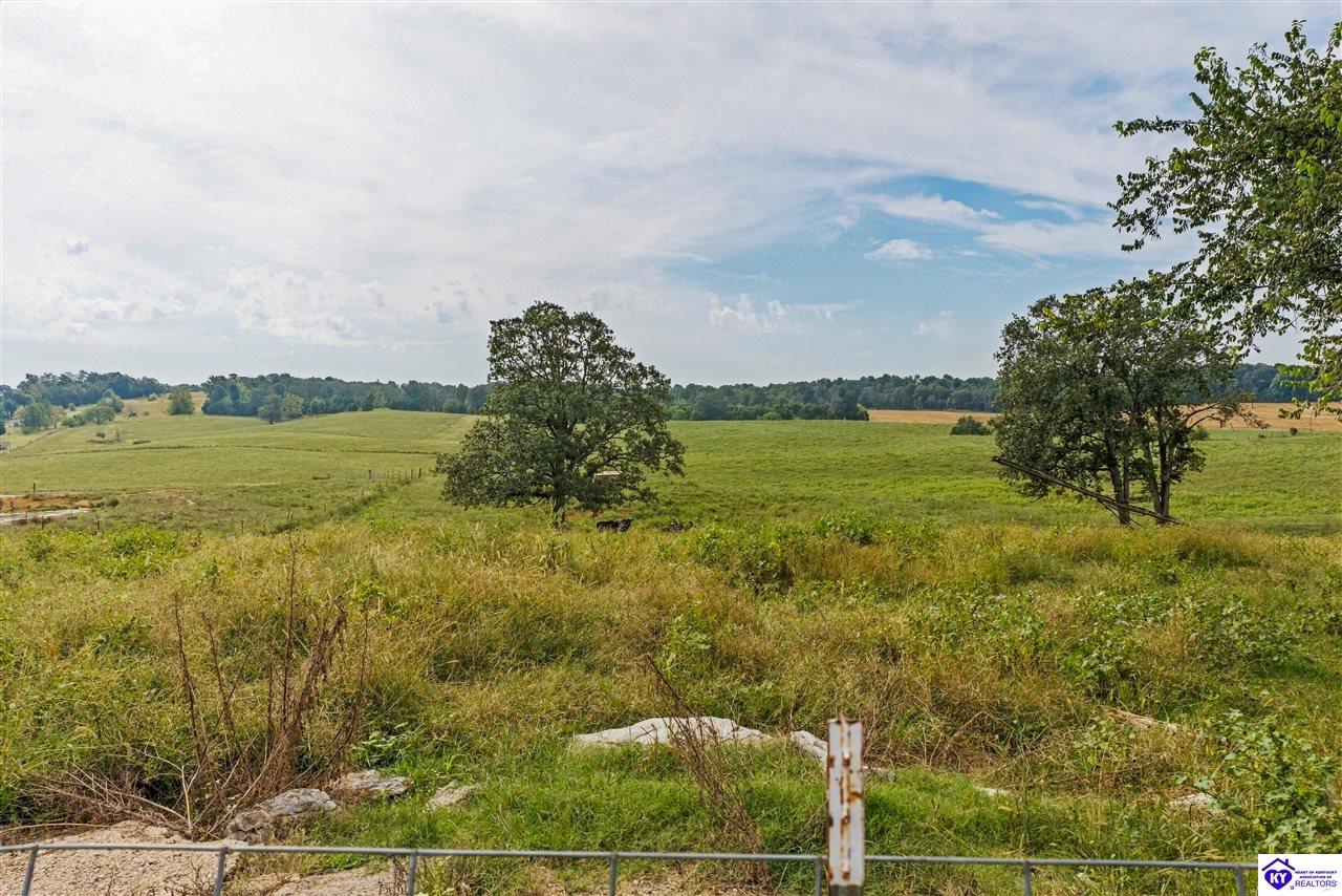 0 Payneville Road Property Photo 26