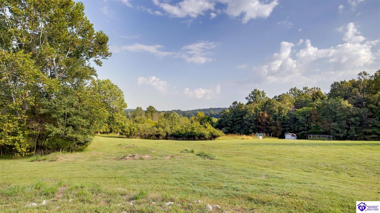 1560 Blue Fork Lane Property Photo 43
