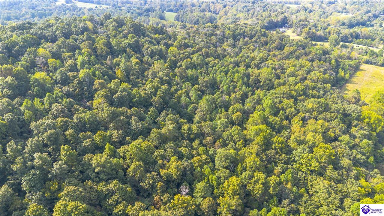 1560 Blue Fork Lane Property Photo 49