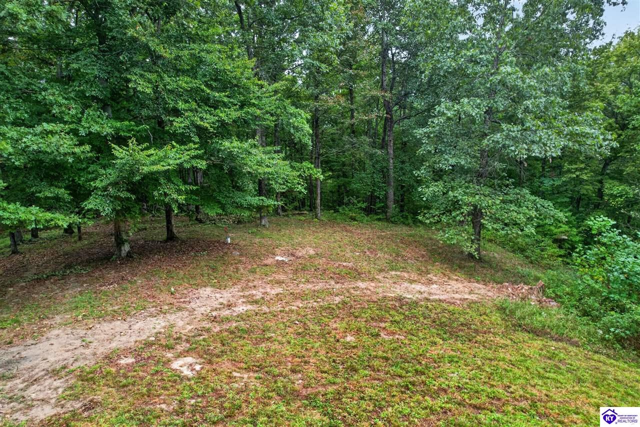 1312 S Otter Creek Road Property Photo 6