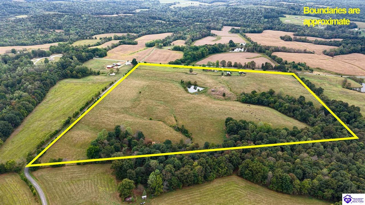 2924 Caney Creek Road Property Photo 3