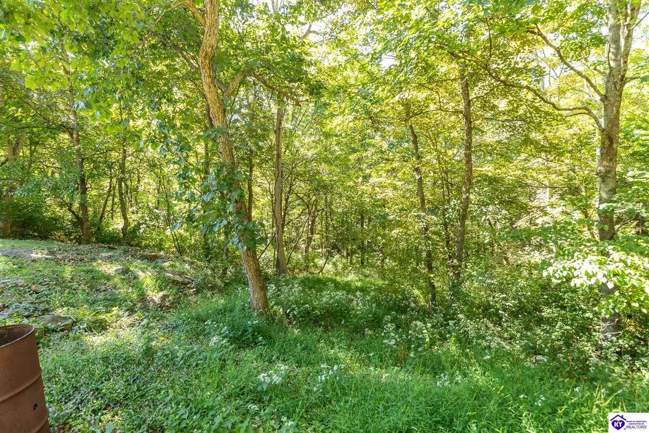 277 Scenic View Drive Property Photo 69