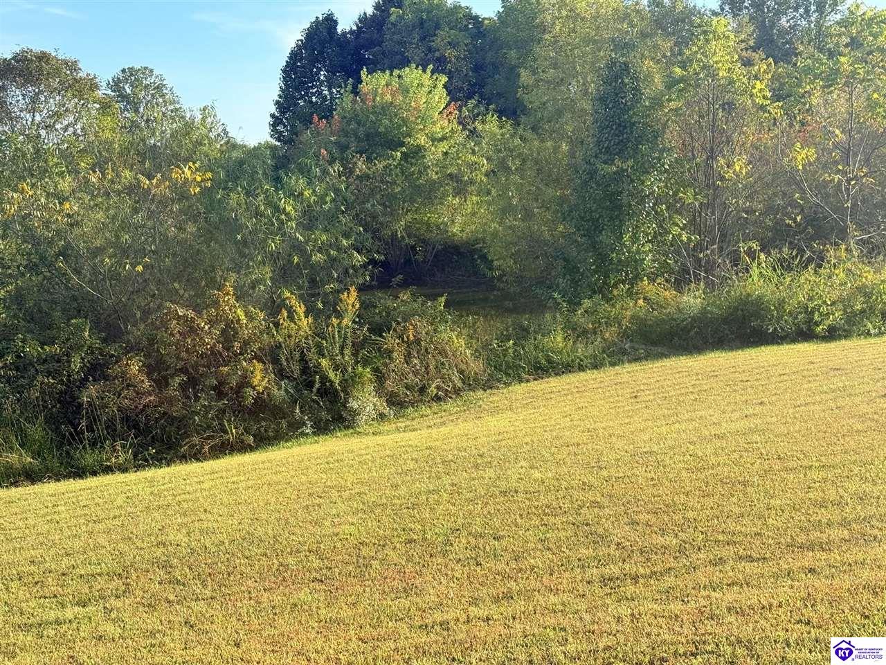 0 St. Matthews Church Road Property Photo 4
