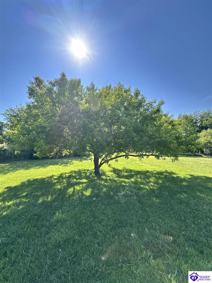 57 Green Acres Road Property Photo 32
