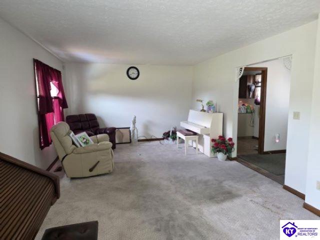 100 Oakwood Drive Property Photo 4