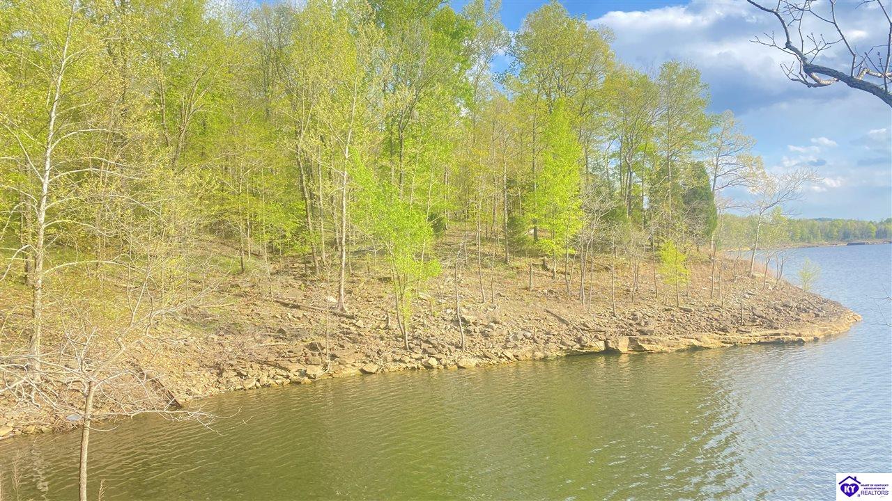 370 Cave Heights Lane Property Photo 1