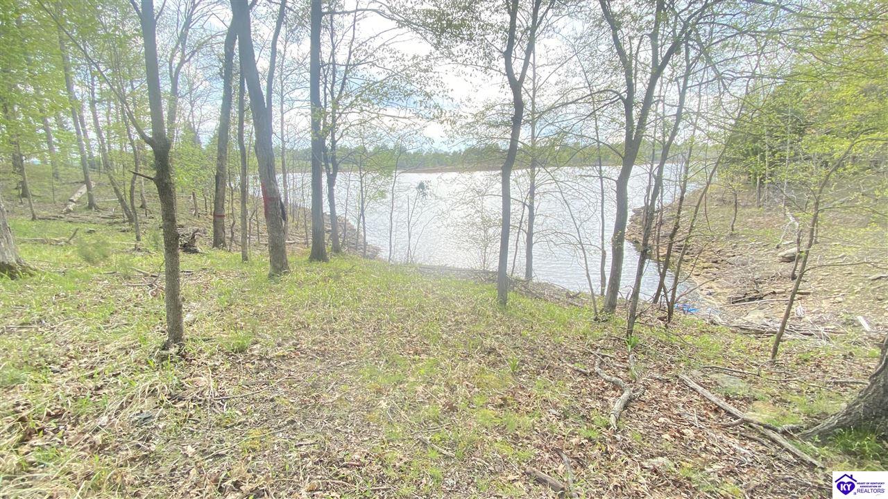 370 Cave Heights Lane Property Photo 2