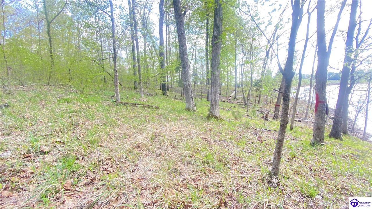 370 Cave Heights Lane Property Photo 8
