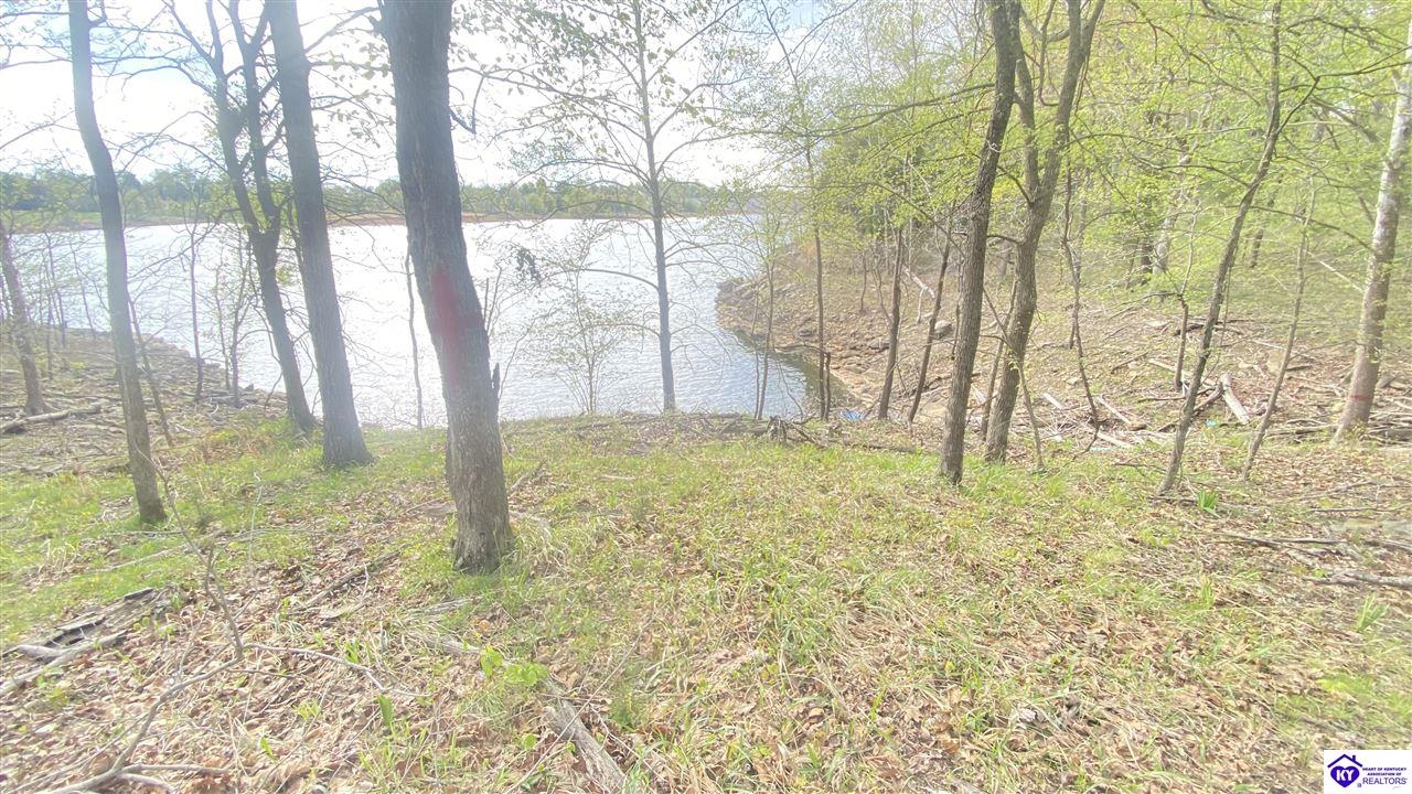 370 Cave Heights Lane Property Photo 9