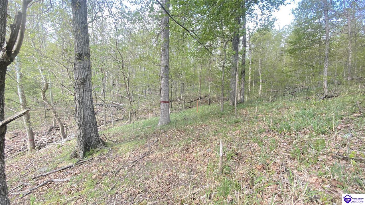 370 Cave Heights Lane Property Photo 10