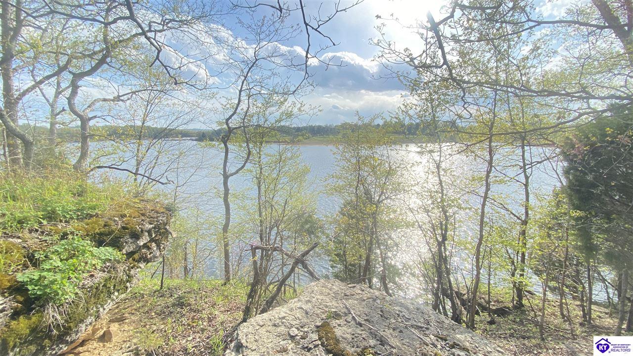370 Cave Heights Lane Property Photo 11