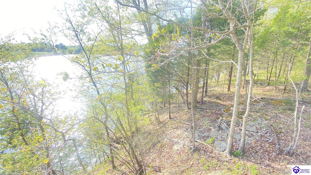 370 Cave Heights Lane Property Photo 13