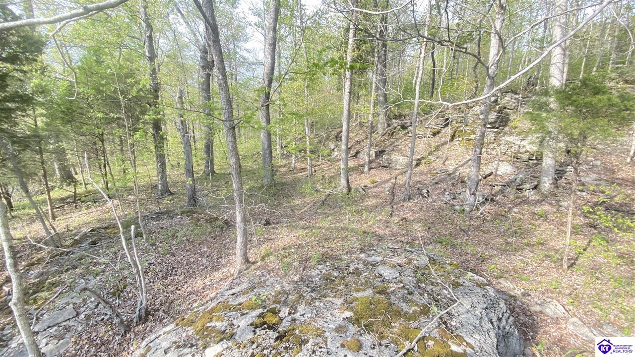 370 Cave Heights Lane Property Photo 14