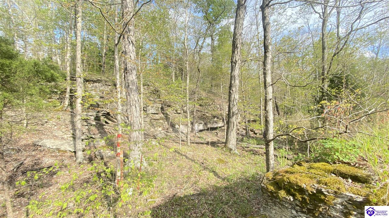 370 Cave Heights Lane Property Photo 15