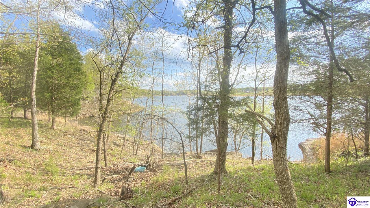 370 Cave Heights Lane Property Photo 17