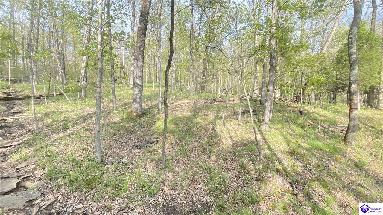 370 Cave Heights Lane Property Photo 18
