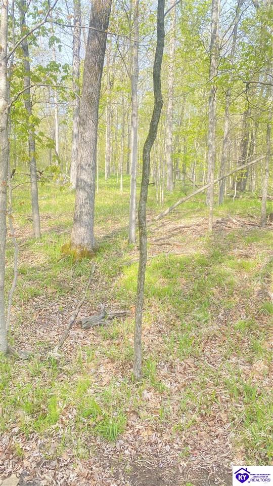 370 Cave Heights Lane Property Photo 19