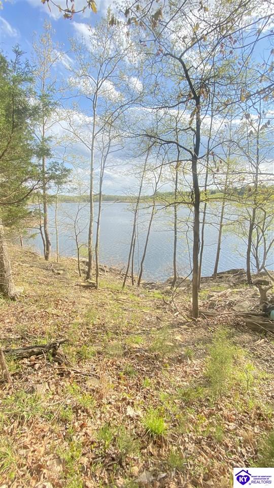 370 Cave Heights Lane Property Photo 20