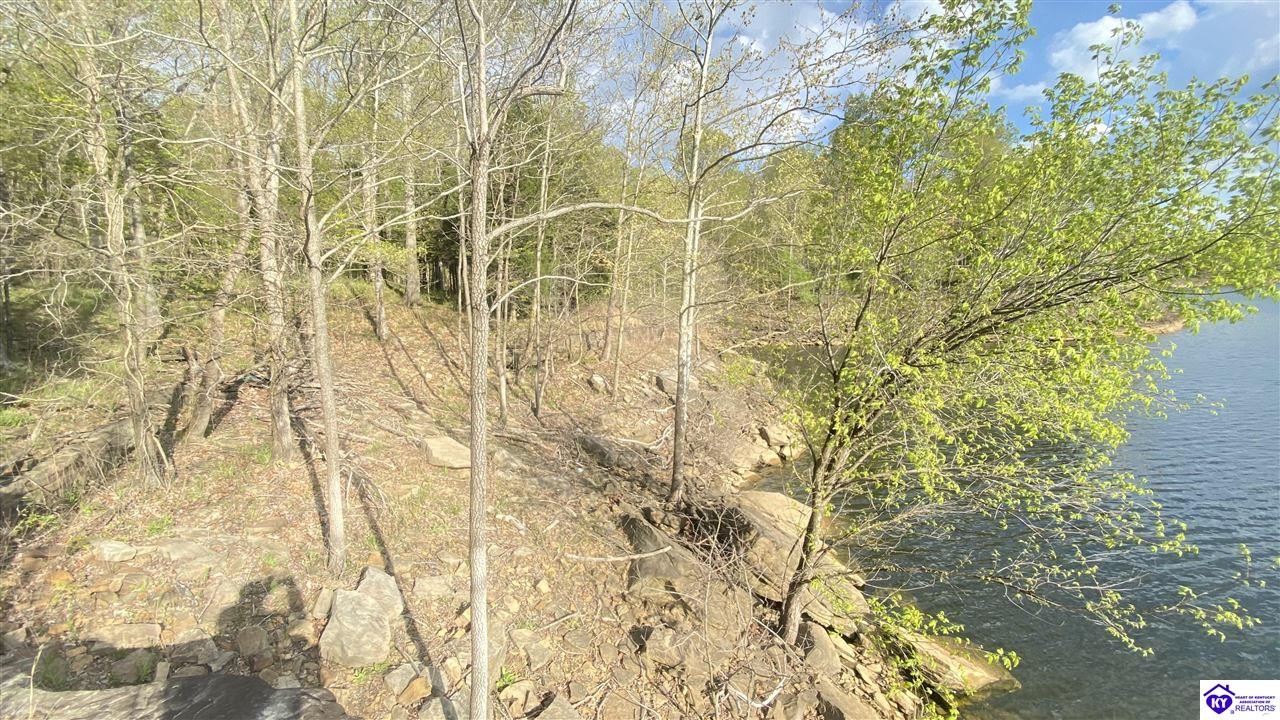 370 Cave Heights Lane Property Photo 22