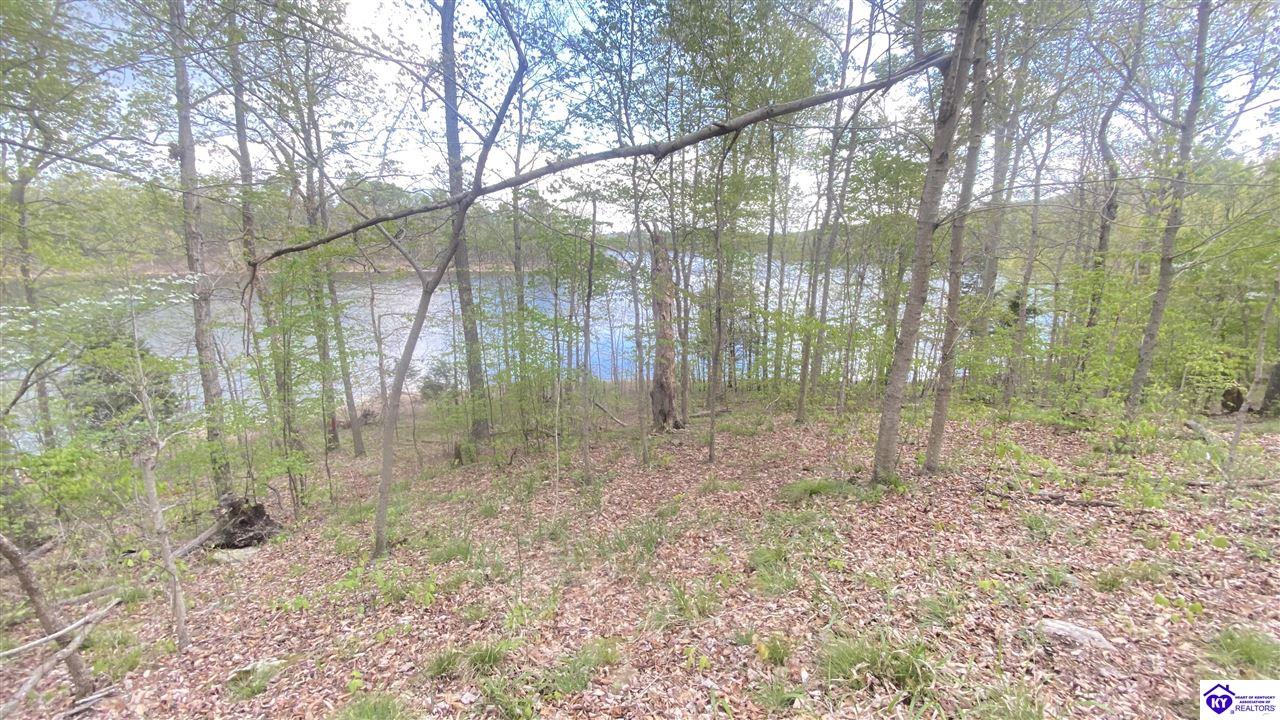 370 Cave Heights Lane Property Photo 24
