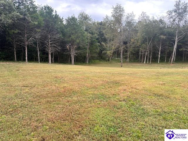 1945 George Tabb Road Property Photo 12