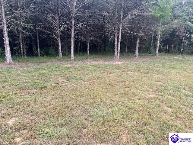 1945 George Tabb Road Property Photo 14