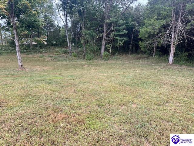 1945 George Tabb Road Property Photo 15