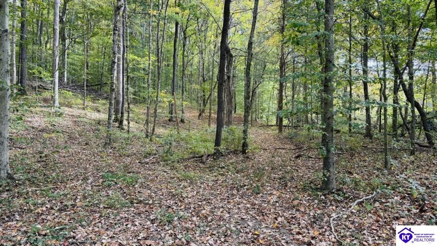 2313 Bowling Green Road Property Photo 44