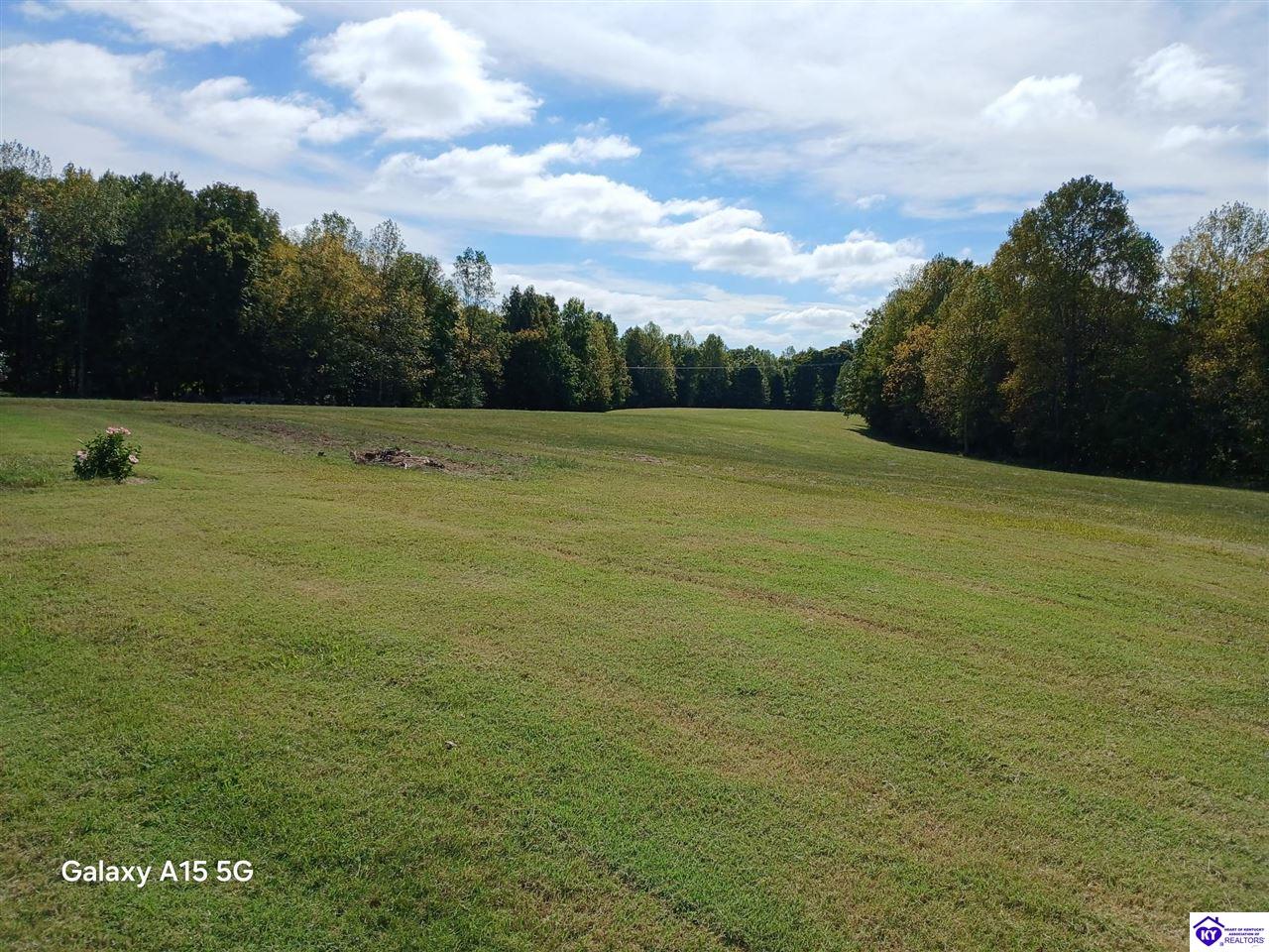 168 Chestnut Grove Road Property Photo 2