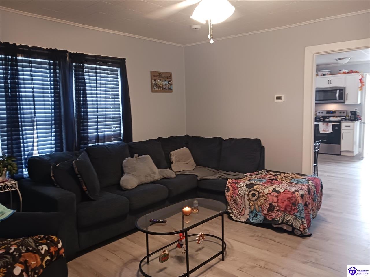 209 Green Street Property Photo 4