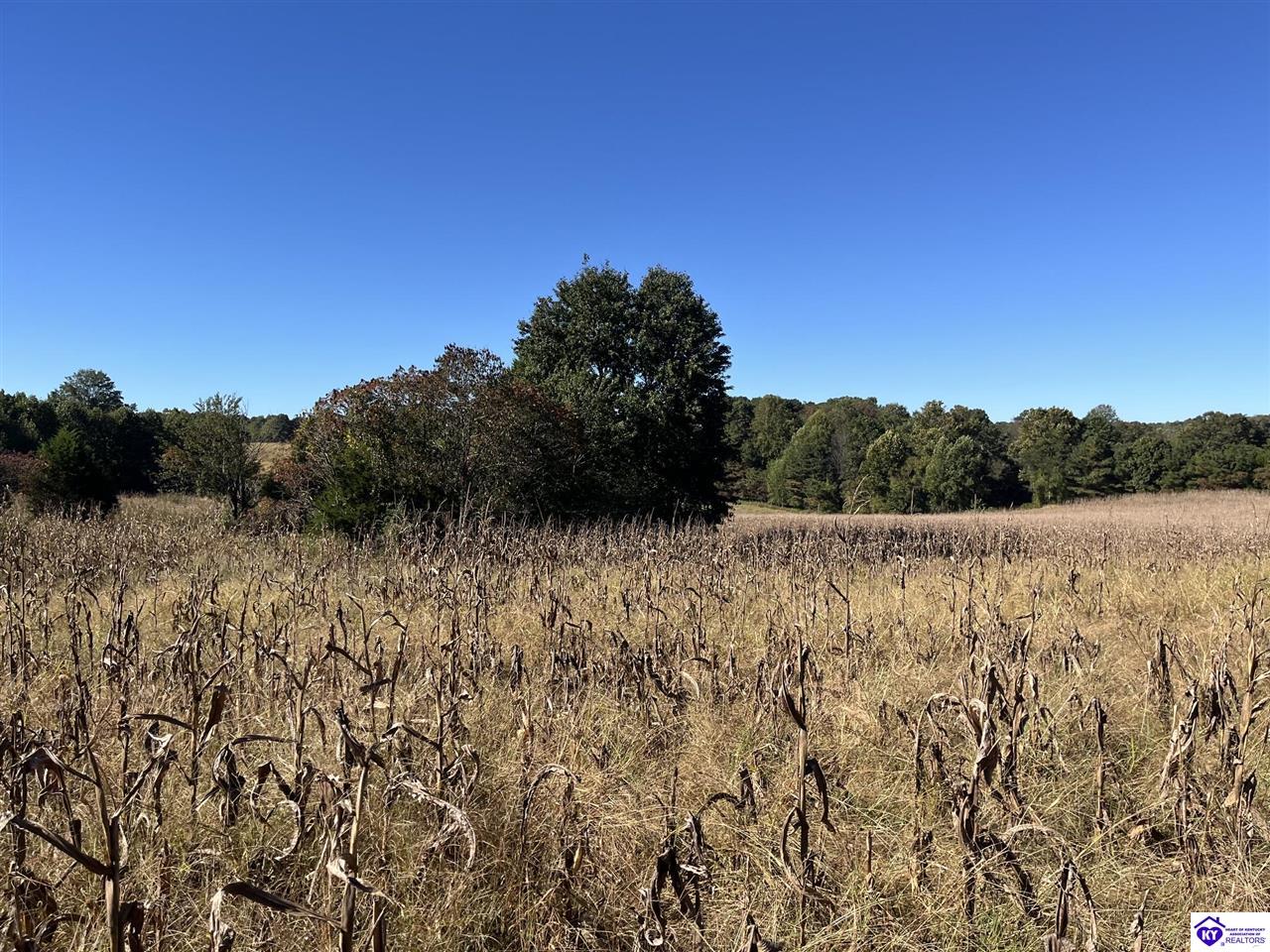 Ac Locust Grove Road Property Photo 1