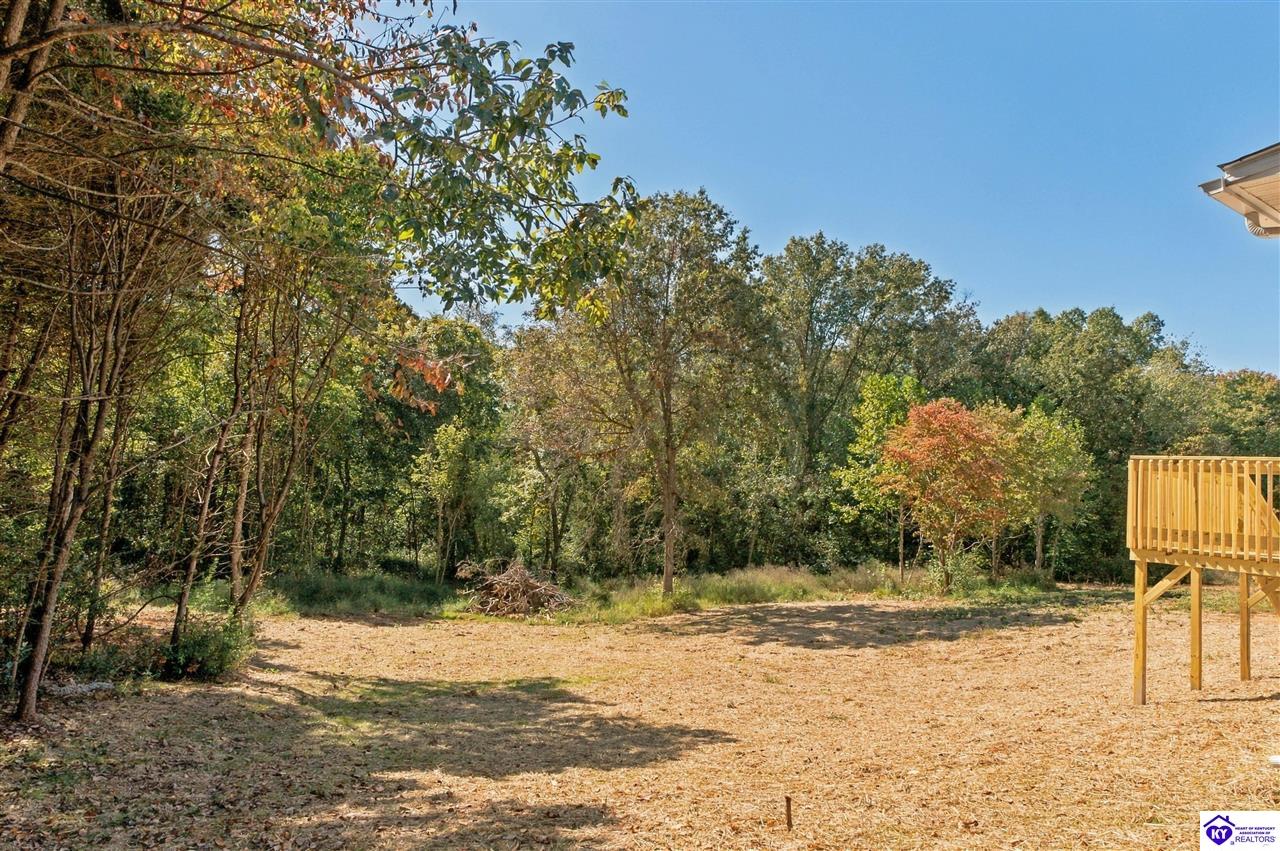 111 Phillips Lane Property Photo 39