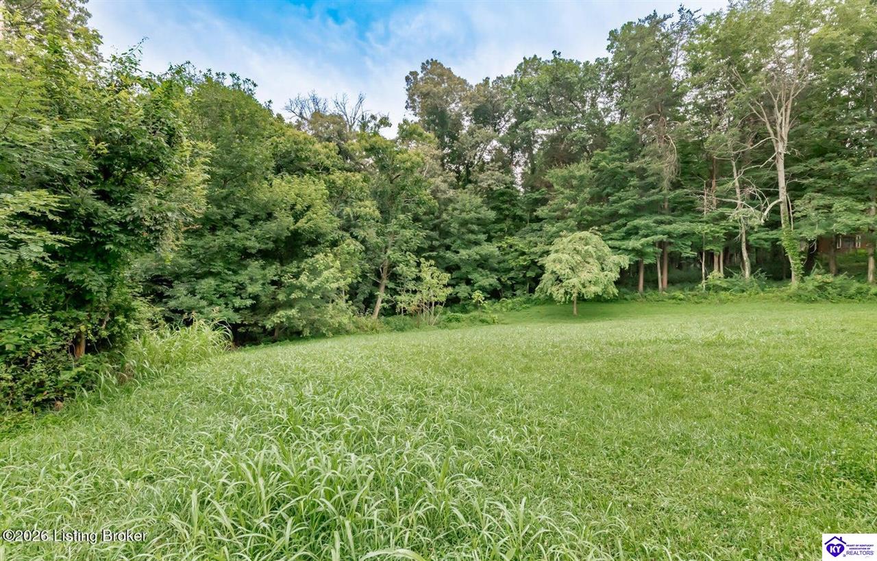 369 Meadowview Drive Property Photo 73
