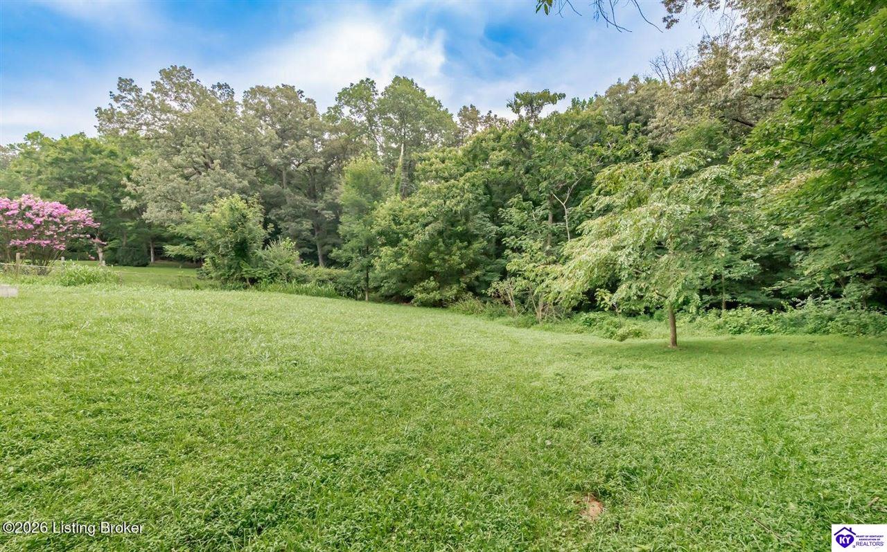 369 Meadowview Drive Property Photo 77
