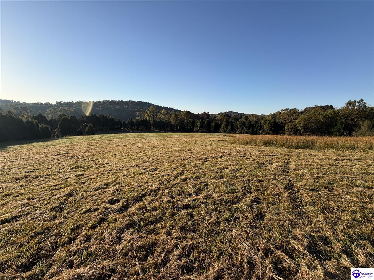 7681 W Highway 60 Property Photo 7