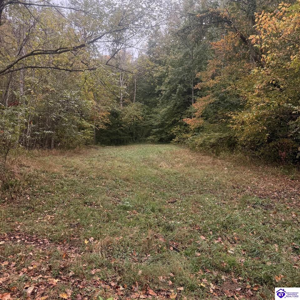 4130 Elkhorn Road Property Photo 1