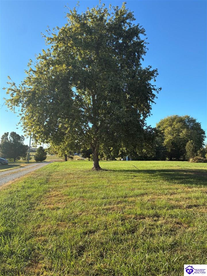 5479 S. Hwy 259 Property Photo 7