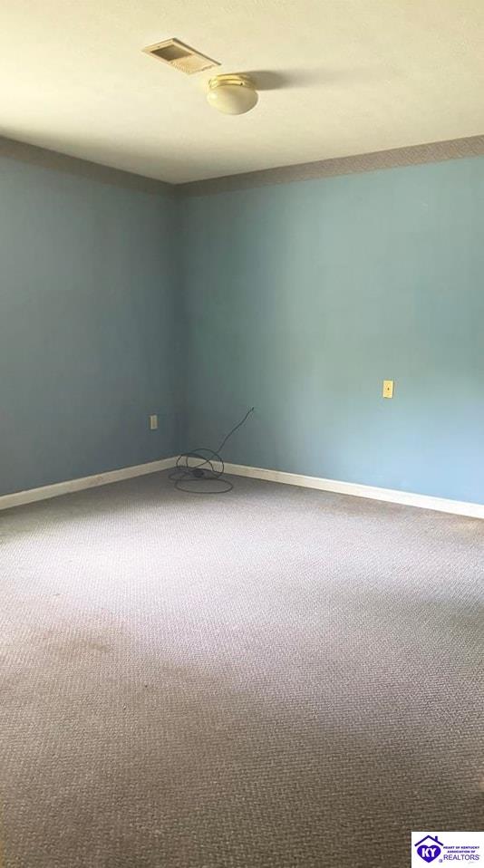 713 Freeman Lake Road Property Photo 19