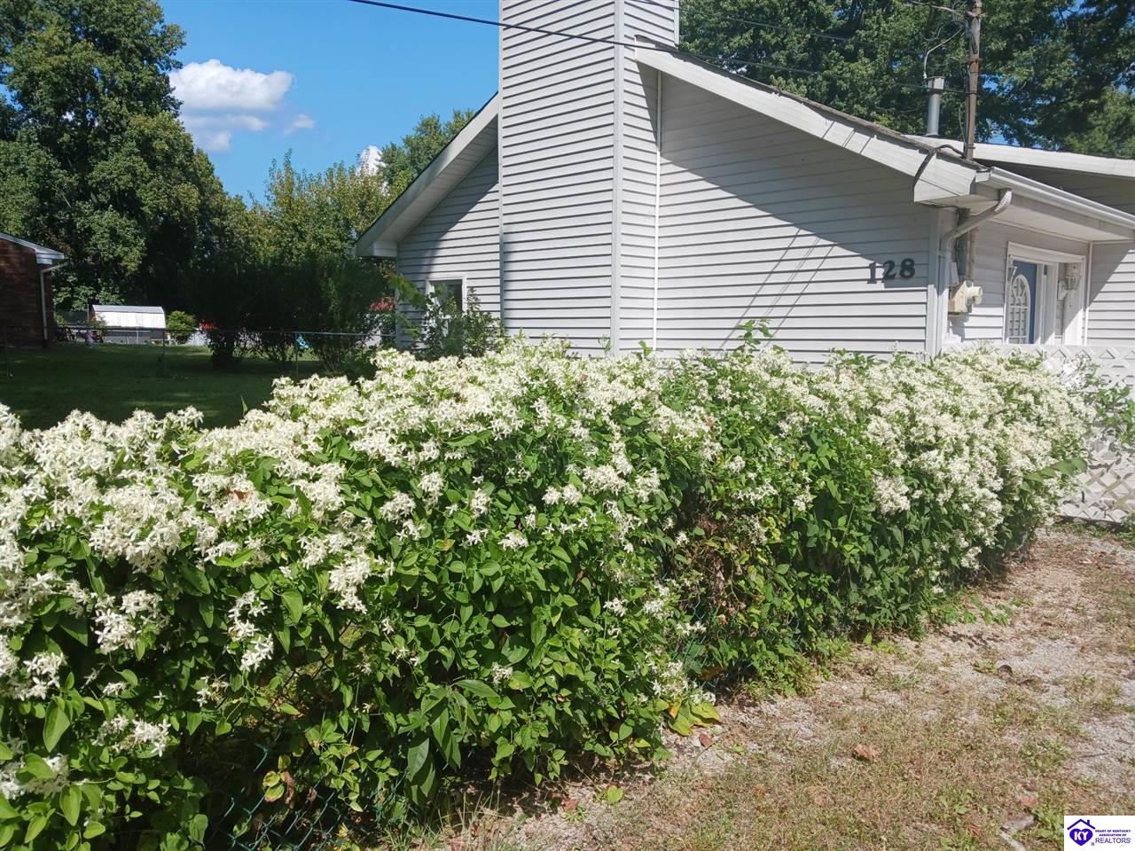 128 McMillen Drive Property Photo 1