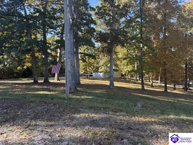 1070 Cave Heights Lane Property Photo 18