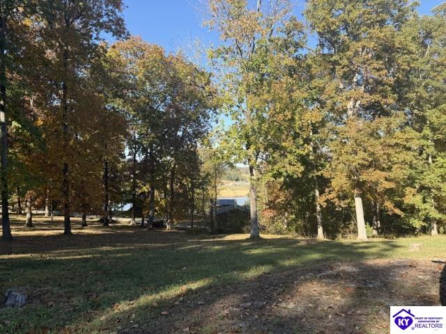 1070 Cave Heights Lane Property Photo 19