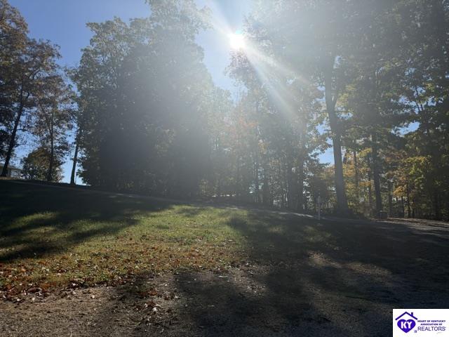 1070 Cave Heights Lane Property Photo 20