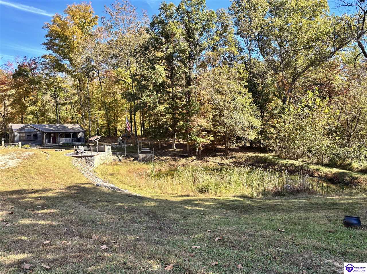 288 Olive Avenue Property Photo 6