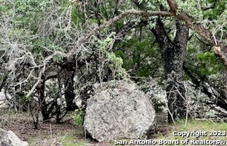 32901 Hwy 55 Property Photo 5