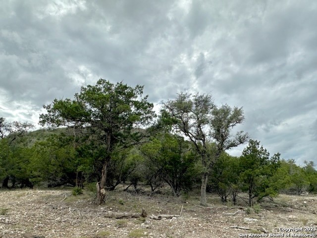 32901 Hwy 55 Property Photo 6