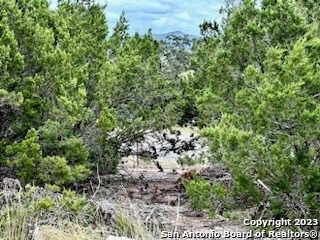 32901 Hwy 55 Property Photo 8