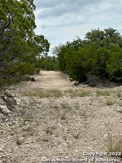 32901 Hwy 55 Property Photo 9