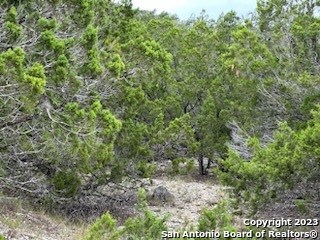 32901 Hwy 55 Property Photo 11
