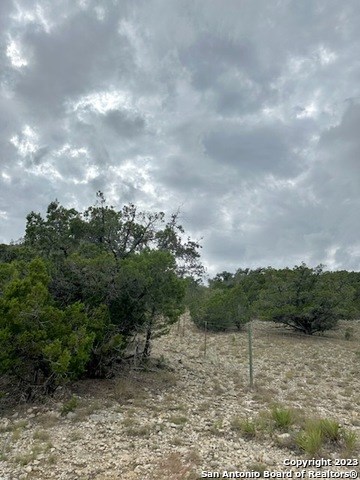 32901 Hwy 55 Property Photo 12