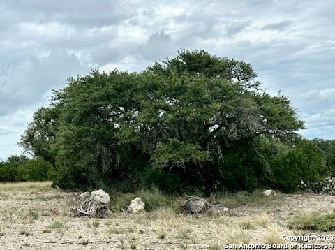 32901 Hwy 55 Property Photo 13